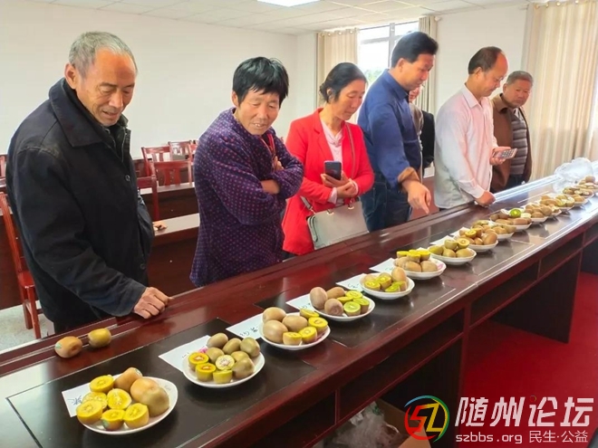 萬和鎮(zhèn)召開獼猴桃種植戶交流會