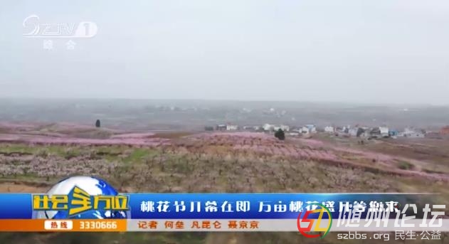 桃花節(jié)開幕在即 萬畝桃花盛開等您來