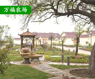 國營萬福農(nóng)場(chǎng)